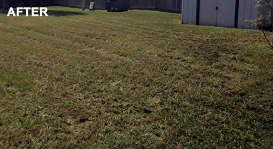 Hire a Nolanville Lawn Mowing Company in Texas