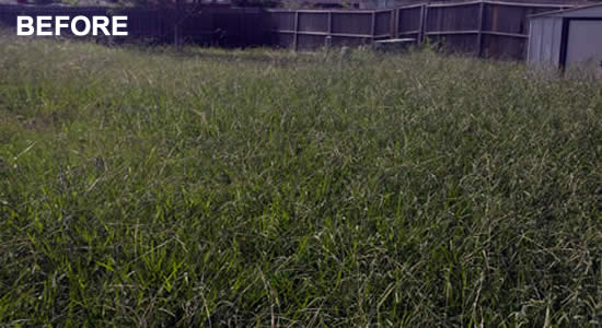 Professional Lawn Mowing in Belton Texas