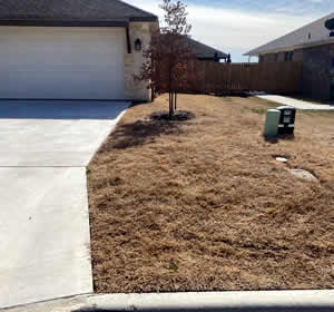 Lawn Dethatching Service Belton TX