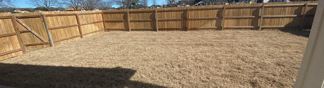 Lawn De-thatching Services Texas