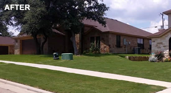 Get Your Lawn Fertilized Texas