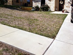 lawn-fertilization-maintenance-before